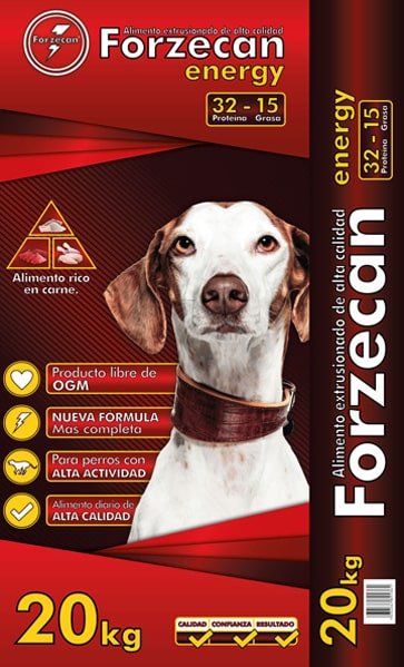 FORZECAN ENERGY 20KG